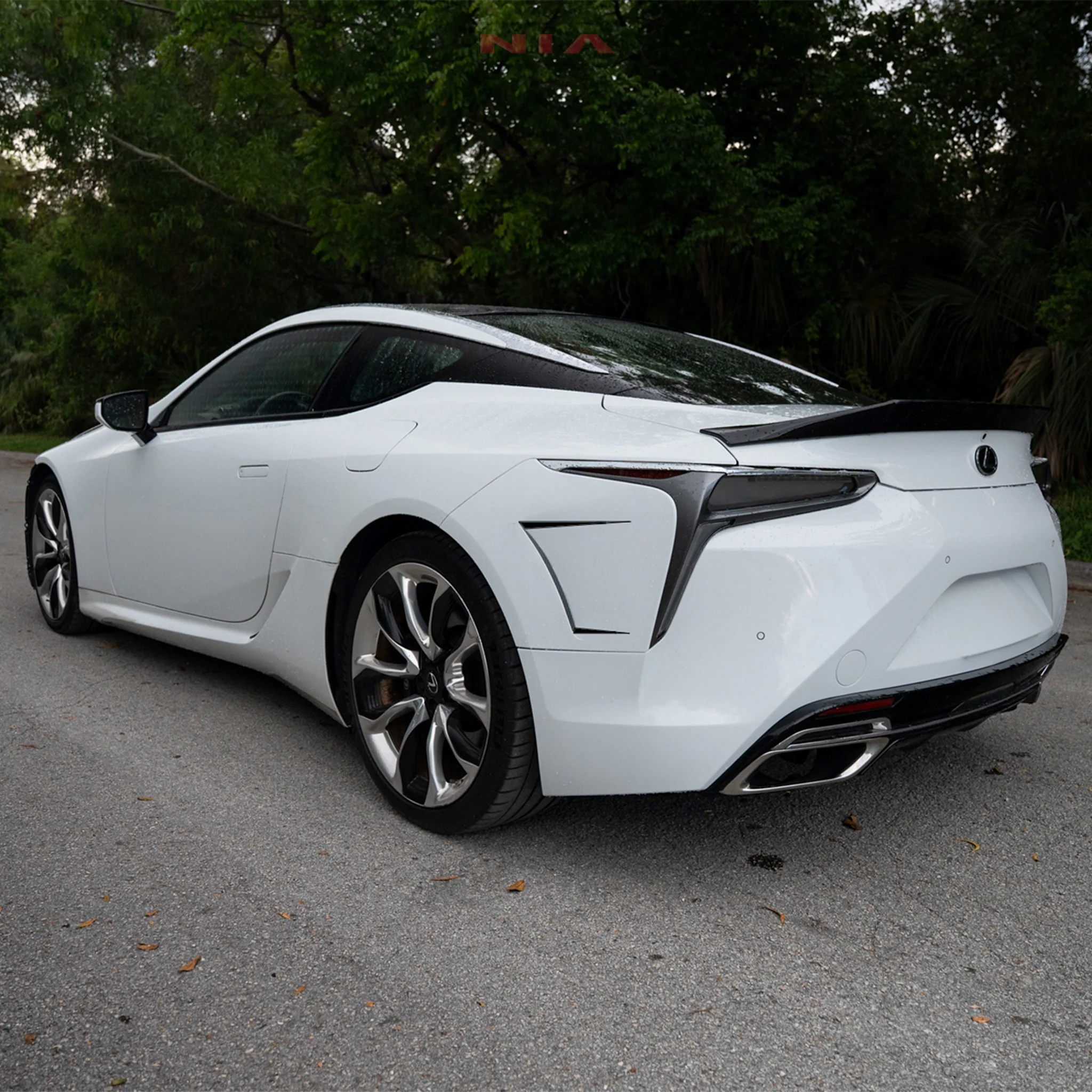 Lexus LC 500 2018-2026 NIA Rear Quarter Panel Vents (PRE-ORDER)